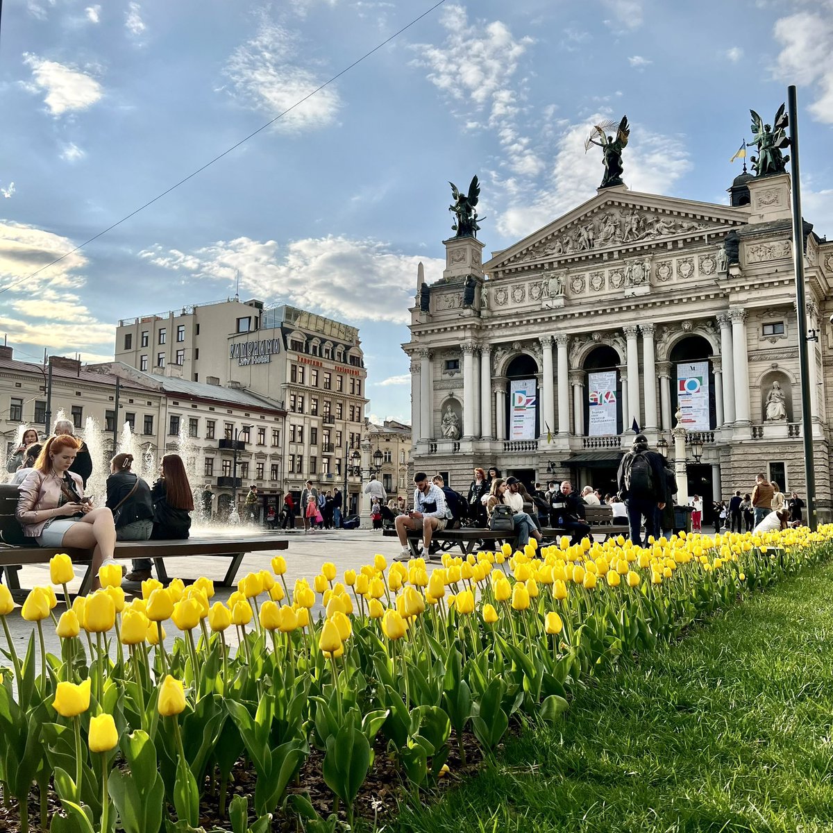 Consulukr's tweet photo. 450.000 Dutch 🇳🇱 tulips 🌷 blooming in  #Kyiv, #Lviv, #Odesa, #Bucha, #Cherson, #Otsjakiv and #Dnipro. A gift from the Netherlands Ukrainian Chamber of Commerce #nucc to all Ukrainians! 🇳🇱 🤝 🇺🇦 We stand with you! https://t.co/co8IPJBLEK