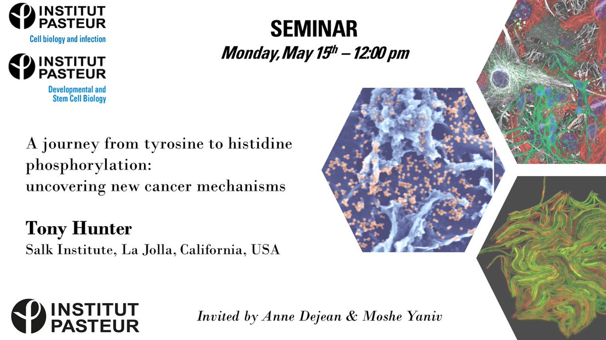 🔜Next joint @BCI_Pasteur & @DevStem_Pasteur seminar this Wednesday Tony Hunter from @salkinstitute A journey from tyrosine to histidine phosphorylation: uncovering new cancer mechanisms Invited by Anne Dejean & Moshe Yaniv