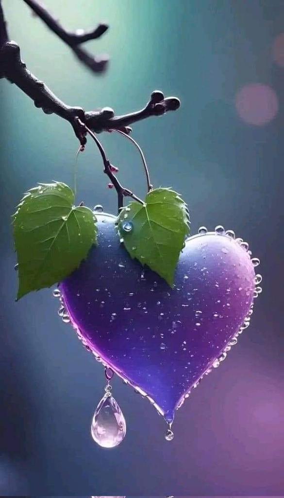 المغادرة الصامتة هي الرد العظيم لكل من
استهان بطيبة قلوبنا. 🌸🌿🌸