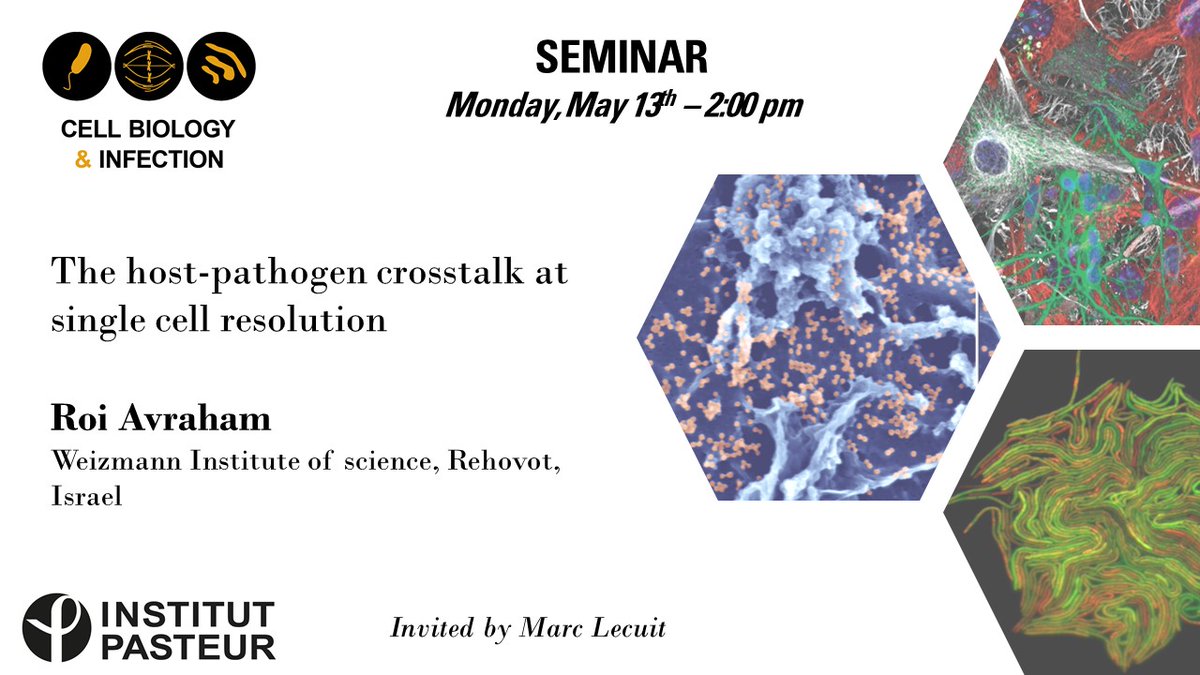 Cell Biology & Infection (@bci_pasteur) on Twitter photo 🔜Next <a href="/BCI_Pasteur/">Cell Biology & Infection</a> seminar next Monday
Roi Avraham (<a href="/roi1avraham/">Roi Avraham</a>) from <a href="/WeizmannScience/">Weizmann Institute</a>
The host-pathogen crosstalk at single cell resolution
Invited by <a href="/BIUPasteur/">Lecuit Lab</a> 🔜Next <a href="/BCI_Pasteur/">Cell Biology & Infection</a> seminar next Monday
Roi Avraham (<a href="/roi1avraham/">Roi Avraham</a>) from <a href="/WeizmannScience/">Weizmann Institute</a>
The host-pathogen crosstalk at single cell resolution
Invited by <a href="/BIUPasteur/">Lecuit Lab</a>