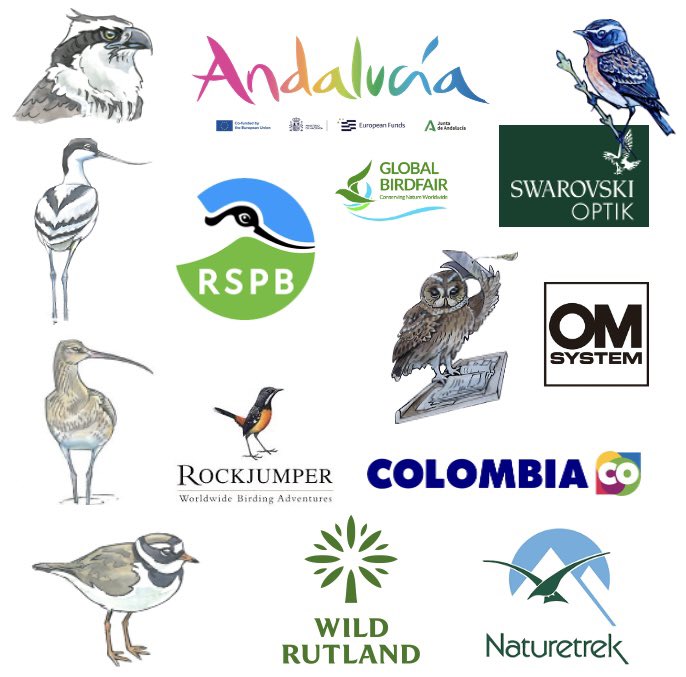 🌟Thanks to all the stars of the Global Birdfair Stages 🙏🏽THANK YOU to stage sponsors too 🎪Osprey Events @viveandalucia 🗣️Avocet @Natures_Voice 🗣️Curlew @RockjumperTours @colombia_travel 🗣️Plover @naturetrektours @WildRutland 🦉Owl @OMSYSTEMcameras 🎙️Whinchat @SwarovskiOptik