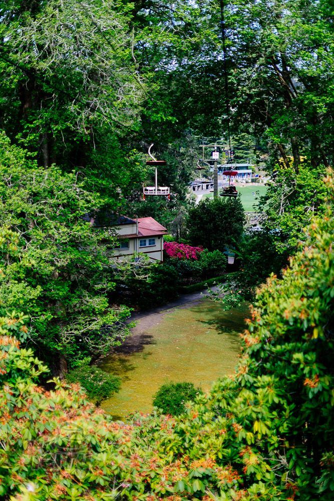 GetTerryNow's tweet image. Peach view looking back along the chairlift cable of Cataract Gorge Reserve, Launceston, Tasmania.