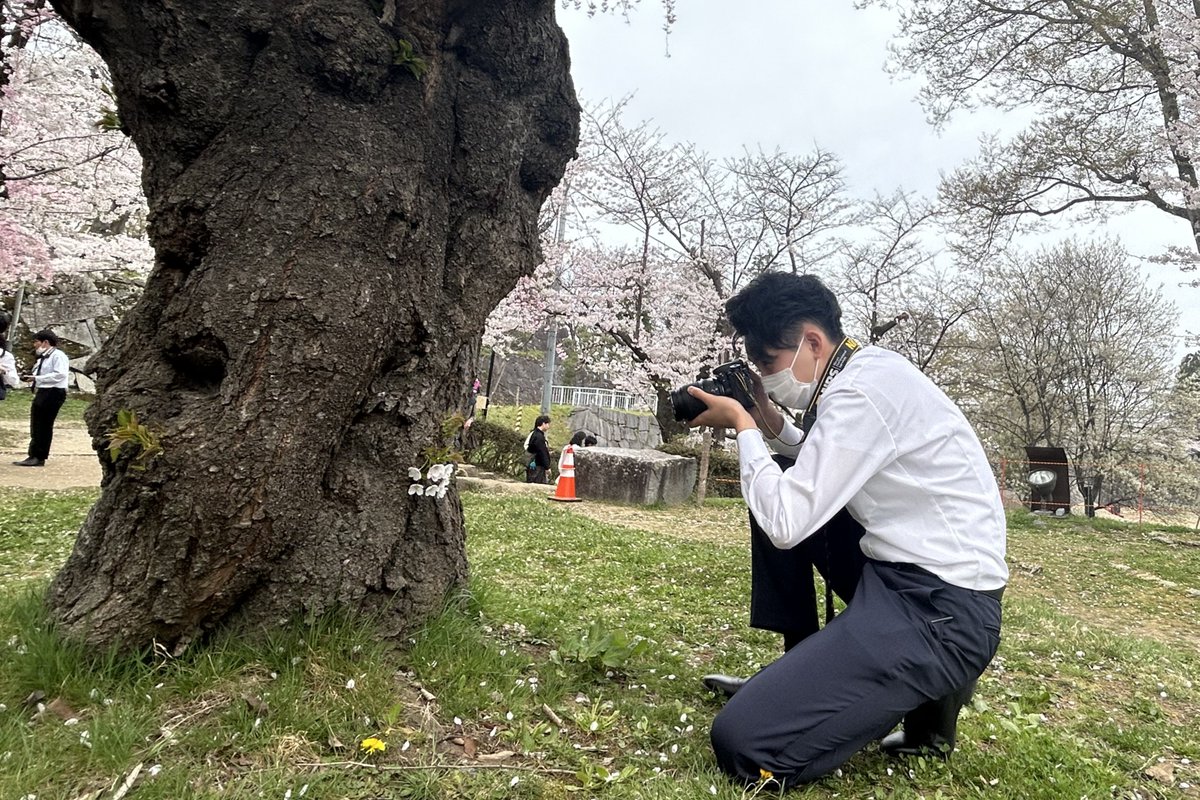 nippojinji's tweet photo. 本日の #新入社員研修 では、報道部写真班の菊池範正次長にカメラの使い方を学びました。座学の後は、桜が満開の岩手公園に向かい実践📷思い思いに春の一場面を切りとりました🌸
 #岩手 #就活 #25卒 #26卒 #マスコミ #岩手日報 #写真 #カメラ https://t.co/fUpdlnQS9R