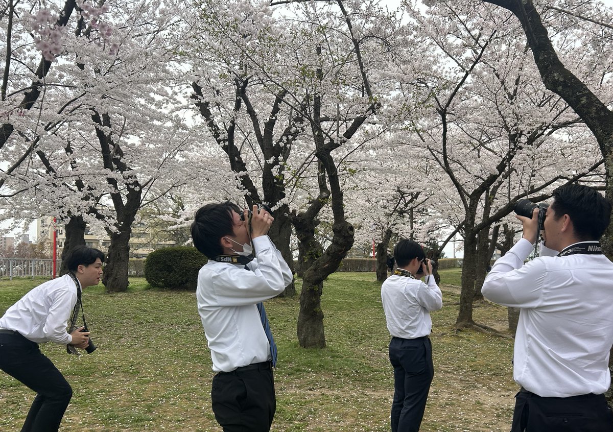 nippojinji's tweet photo. 本日の #新入社員研修 では、報道部写真班の菊池範正次長にカメラの使い方を学びました。座学の後は、桜が満開の岩手公園に向かい実践📷思い思いに春の一場面を切りとりました🌸
 #岩手 #就活 #25卒 #26卒 #マスコミ #岩手日報 #写真 #カメラ https://t.co/fUpdlnQS9R