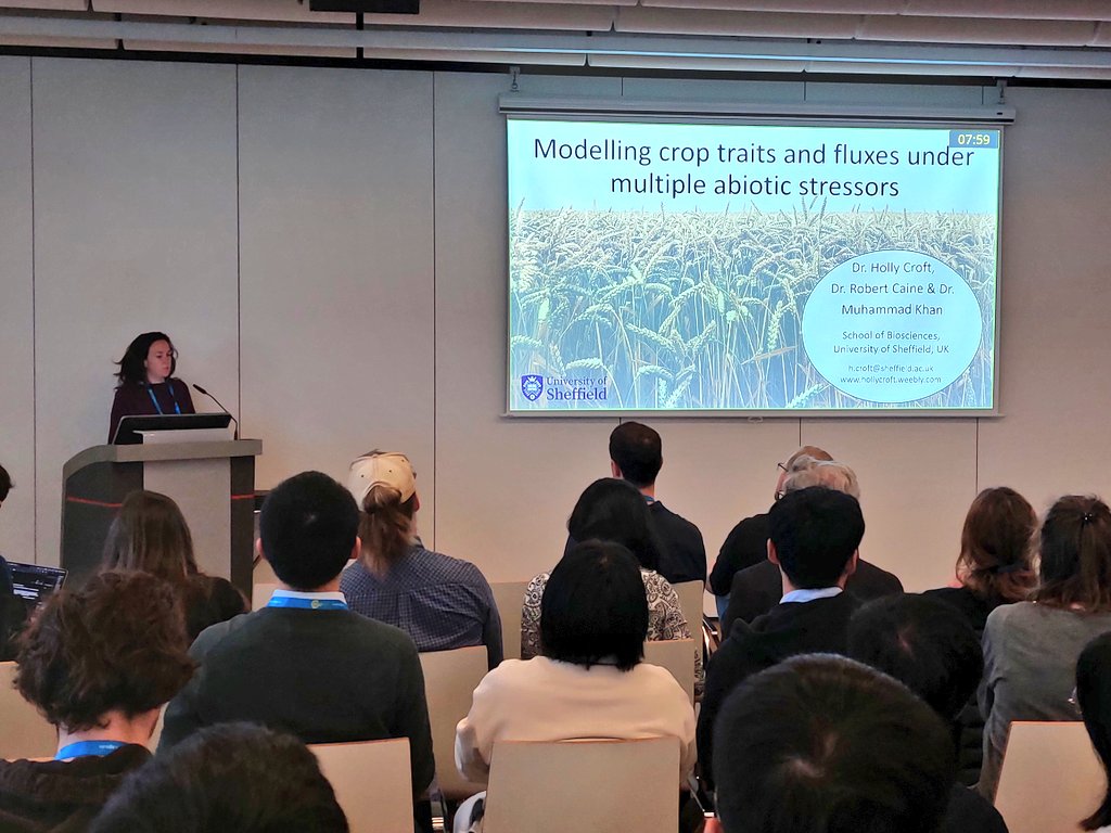Early start here today in Vienna at  #EGU24. @DrHollyCroft is up now talking about modelling combined #abioticstress in wheat 🌾. #nitrogen #water #drought #transpiration #hyperspectral #thermal #LICOR #CNDI @PPS_UoS @susfoodshef @ScienceShef @UKRI_News @DrMuhammadSK92