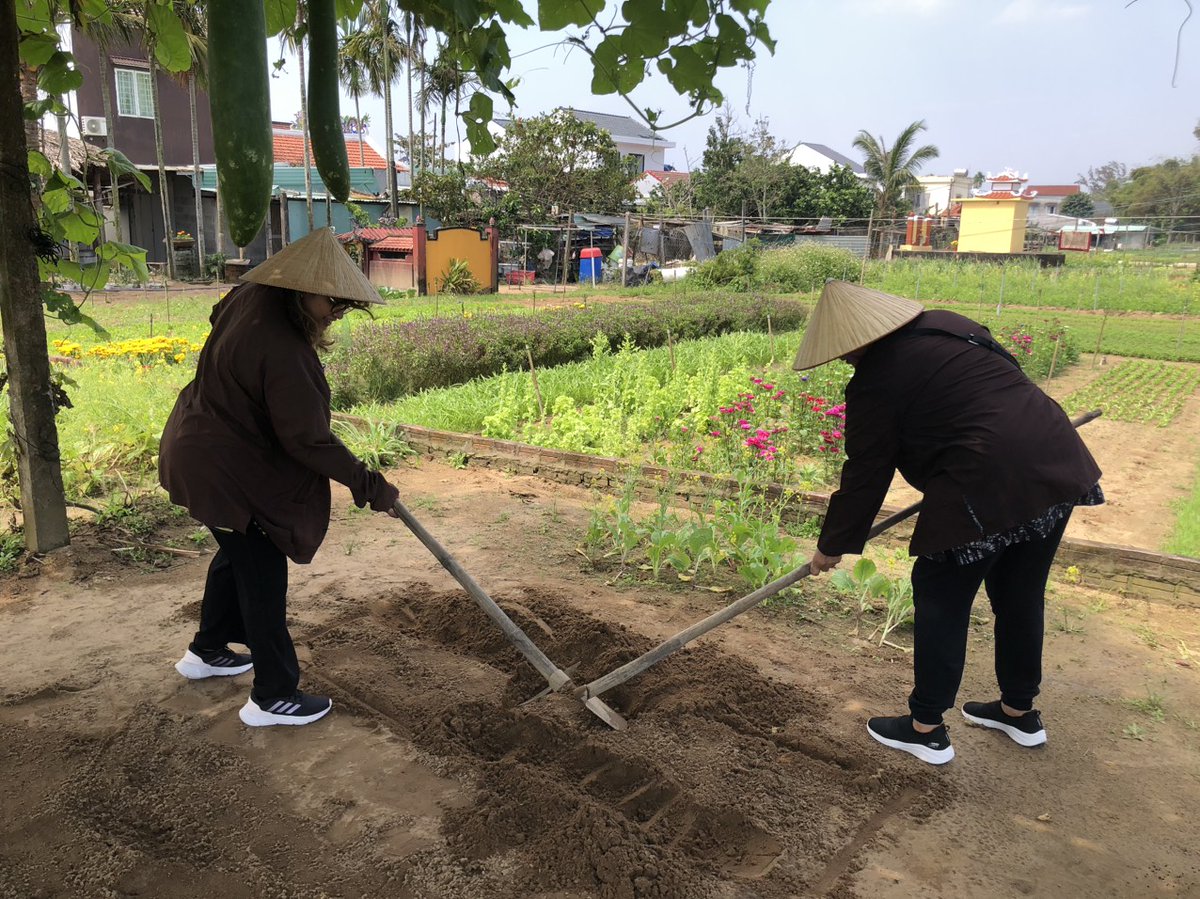 halong_vietnam_'s tweet image. 🌿 Experiencing the timeless charm of Hoi An while diving into the rich agricultural traditions. 🌾
Website: travelauthenticasia.com
halongvietnamtours.com
#travelauthenticasia #southeastasiatrip #beautifuldestinations 
#HoiAnHarmony #FarmToTableExperience