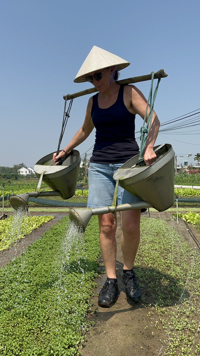 halong_vietnam_'s tweet image. 🌿 Experiencing the timeless charm of Hoi An while diving into the rich agricultural traditions. 🌾
Website: travelauthenticasia.com
halongvietnamtours.com
#travelauthenticasia #southeastasiatrip #beautifuldestinations 
#HoiAnHarmony #FarmToTableExperience