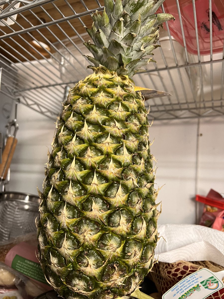 TheGreatFoodCo's tweet photo. Look at the size of this fabulous pineapple 🍍. Busy busy week at TGFC we are catering for over 1000 guests - early mornings and late finishes 💤 https://t.co/rFpS0gJjvk