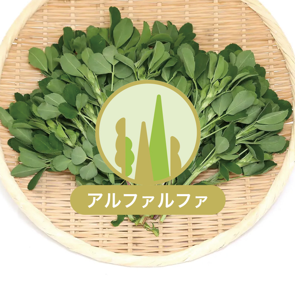 leaf_usayama's tweet photo. 4/16現在のチャームで販売中の生牧草情報です！
国産牧草＆生牧草はただ今チャームでお祭り開催中！🥳
大麦若葉は穂が出てきてしまったため、お休み中です

https://t.co/uLE04JZ9ad

#usayama #国産 #牧草 #生牧草 #自社 #おやつ #小動物 #動物 #ペット #うさぎ #モルモット #チンチラ #デグー https://t.co/J5Ceukwcru