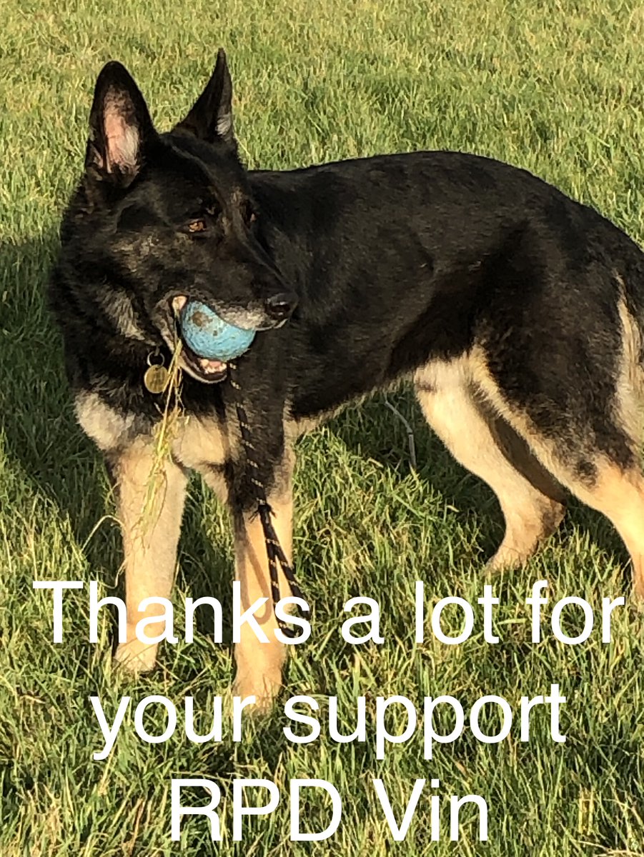 This is our 13th year.... Since 2012 we've helped 62 Retired Police Dogs (283 different times of need) Some just once Others up to 21 times With money towards Vet & Welfare Costs over £84,000 to these Exceptional Dogs THANK YOU for your support 🐾💙🐾 essexretiredpolicedogs.co.uk