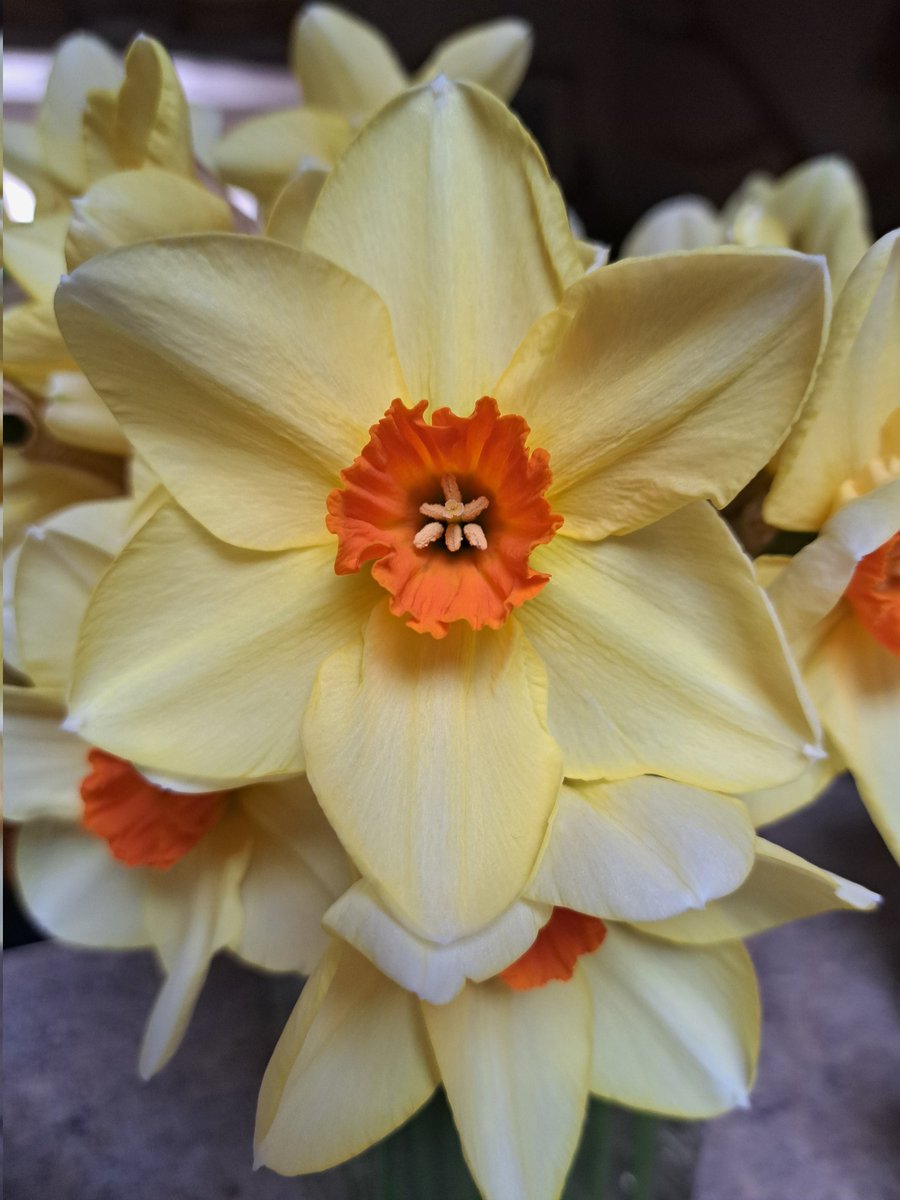 Catherine Manning 💙 tweet media