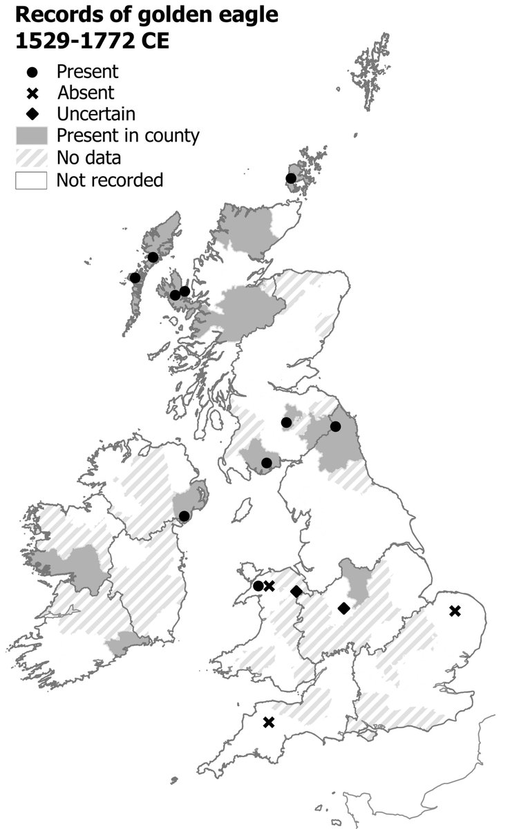 Records of the golden eagle, 1529-1772 CE. Few recorders at that time could distinguish them from sea eagles, but the historical sources we have show that they used to have a wider distribution than they do today. 🦅💚 Map from my #AtlasofEarlyModernWildlife