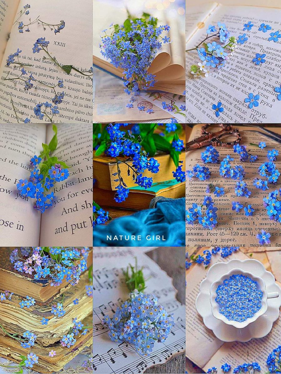 Books and forget me not flowers! 💙📖