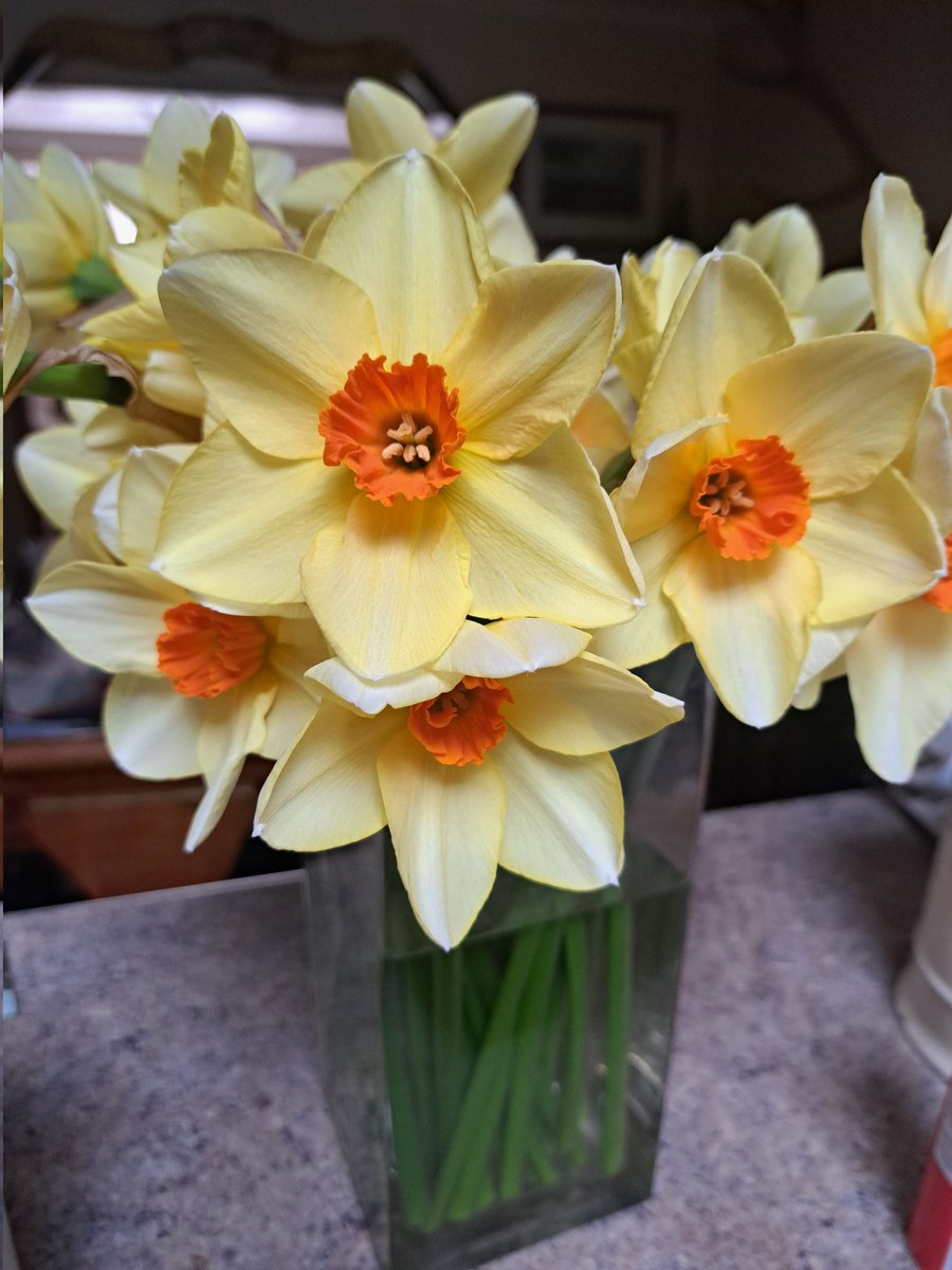 Catherine Manning 💙 tweet media