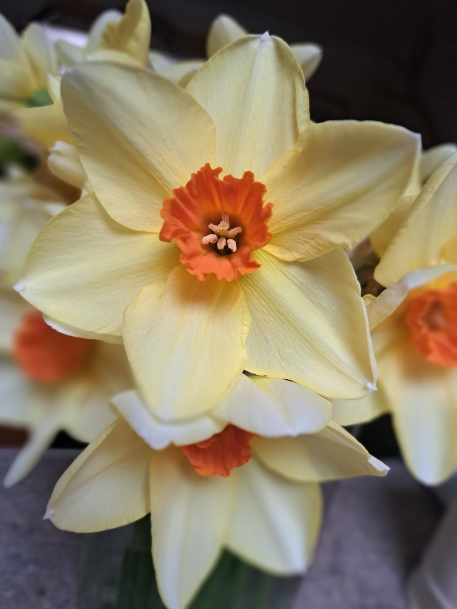 Catherine Manning 💙 tweet media