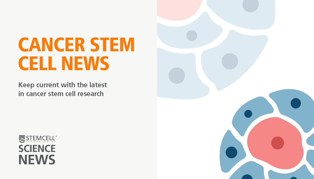 Stay up to date on the latest research, news, jobs, and events on cancer stemness and anti-cancer stem cell therapies by subscribing to Cancer Stem Cell News (@cancerscnews), a free weekly newsletter by @STEMCELLTech Science News: bit.ly/45yLN2E