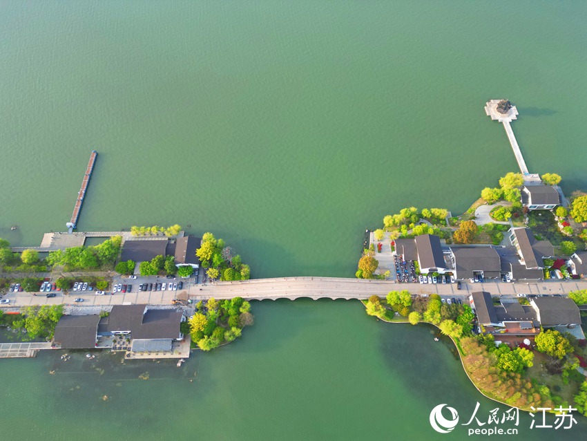 VoiceofPD's tweet image. #SpringinChina
With lucid lake water and green shores, the Jinji Lake scenic area in Suzhou, east China's Jiangsu Province, offers a captivating spring #scenery which resembles a beautiful scroll painting depicting ecological civilization.
More pics: en.people.cn/n3/2024/0416/c…