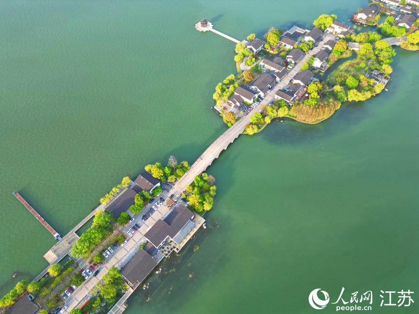 VoiceofPD's tweet image. #SpringinChina
With lucid lake water and green shores, the Jinji Lake scenic area in Suzhou, east China's Jiangsu Province, offers a captivating spring #scenery which resembles a beautiful scroll painting depicting ecological civilization.
More pics: en.people.cn/n3/2024/0416/c…