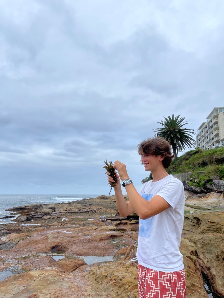 Excited to highlight @amandakpet's vital research on the Great Southern Reef, advancing our understanding of seaweed physiology in the face of climate change & guiding the next gen of scientists! This research is key for understanding how to protect our underwater forests.🌱🌊