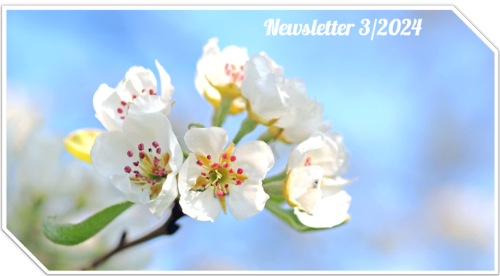 Newsletter - edition 3/2024 🇬🇧mailchi.mp/5a87d36cb598/n… . Topics include: Open calls for projects; Operational Groups:Apisana🐝; Good practices; Launch of Climate Smart Advisor & many more🇪🇺&🇷🇴