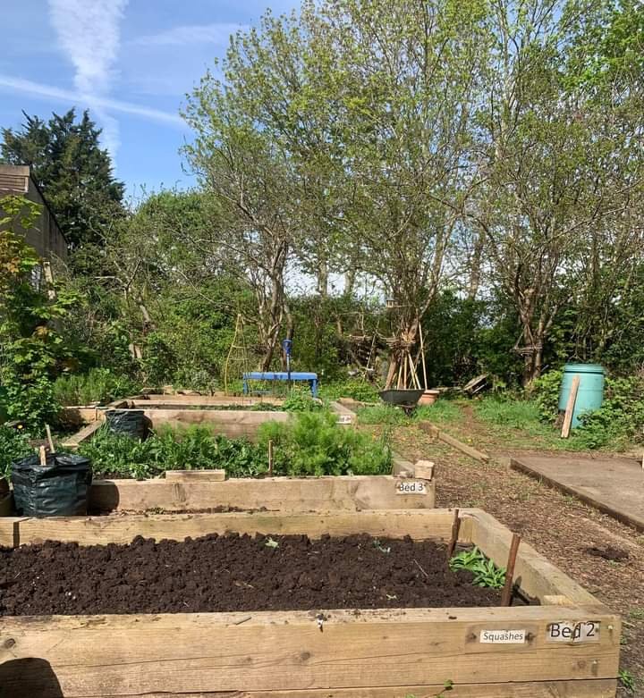 Maria Community Activator tweet media