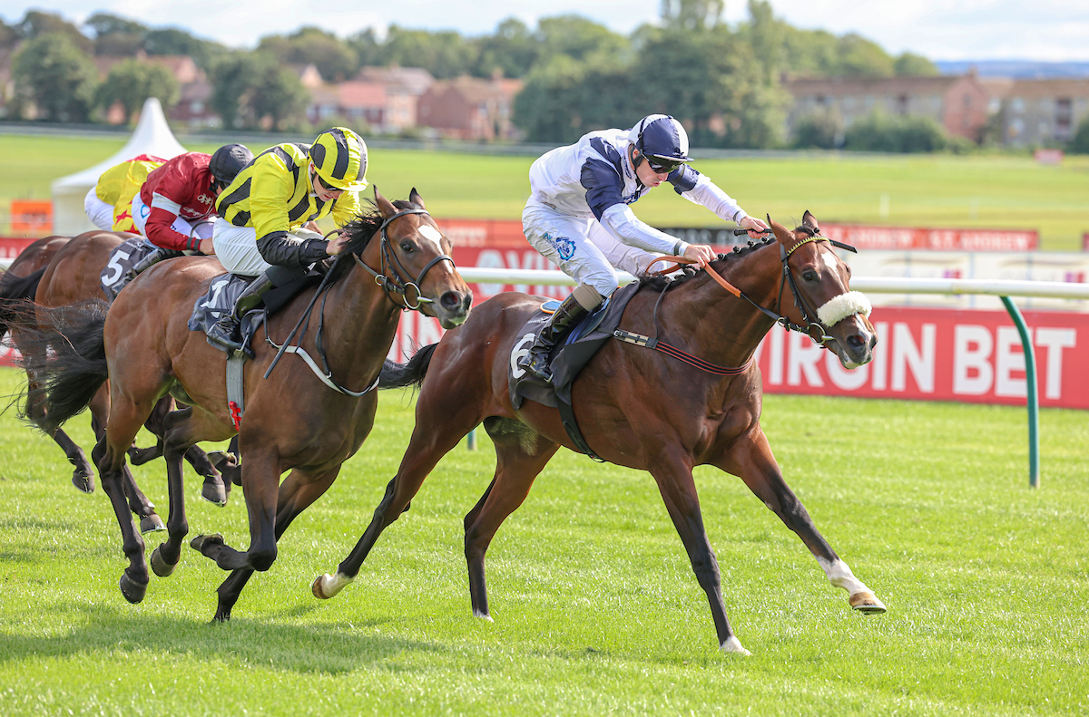 We're at @NewcastleRaces with six runners today. Good luck to the connections of Abruzzo Mia, Prairie Falcon (pictured), Mambha, Odette's Beau, Liz's Kitten, and Cuban Storm.
