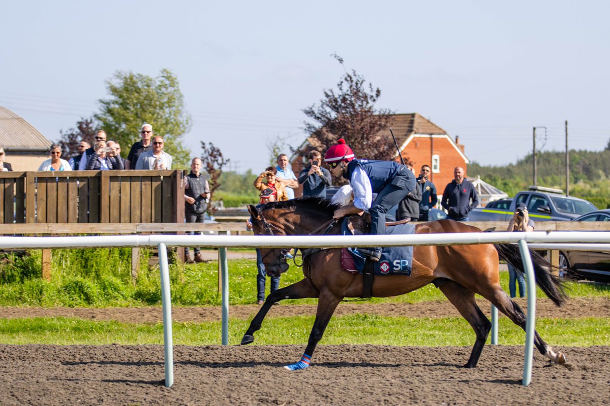 🅡🅤🅝🅝🅔🅡 - Bonaventure takes on the 7f Handicap at @NewmarketRace today, going to post for 16:40. @Rossaryan15 takes the reins for the @WilliamsStuart team. Best of luck to all involved 🐎 #OpulenceThoroughbreds