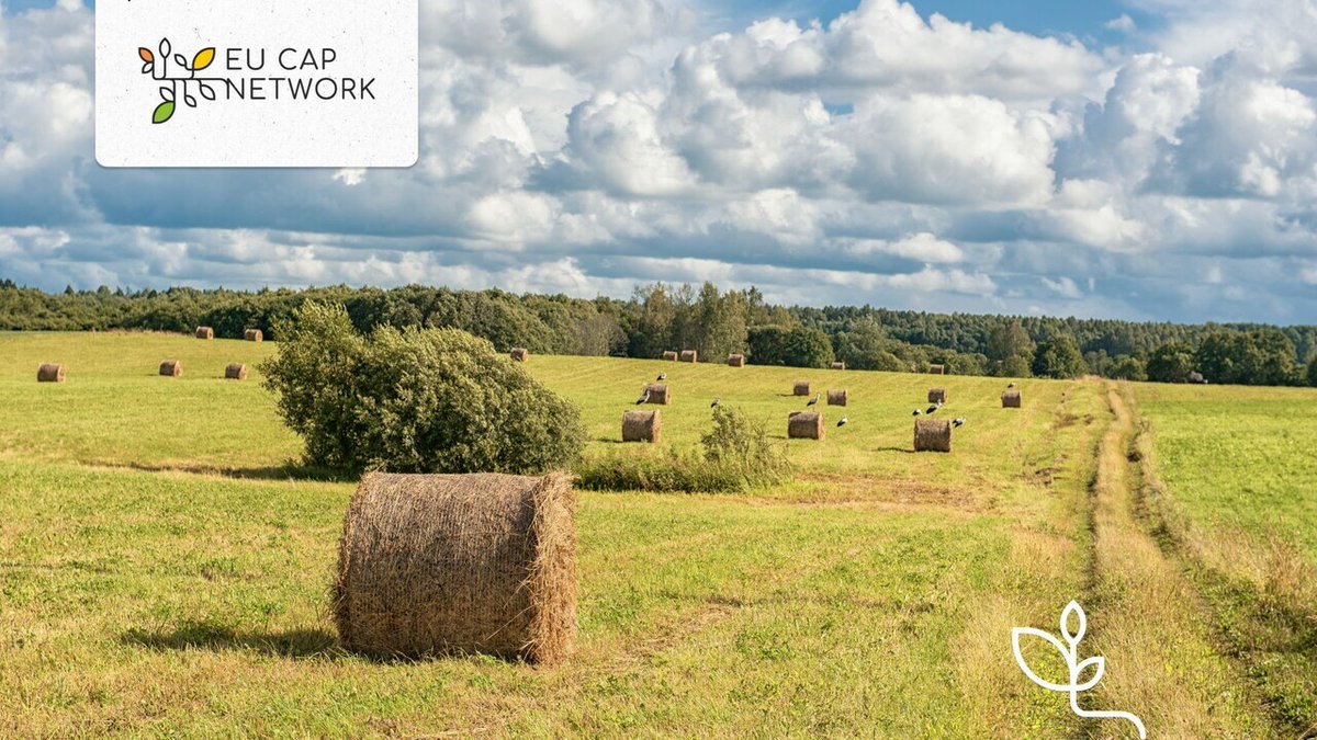 What is the #assessment of agri-environment and #climate measures in #Lithuania? 🌱Discover more in this #evaluation: 👉 bit.ly/3UelbAX