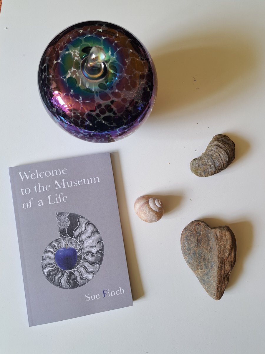 So glad to have Sue's @soopoftheday new collection, 'Welcome to the Museum of a Life'. Don't miss the light & dark of these distinctive & personal poetic exhibits. 🖊️🖼️🐢🦒🦩🪩🖊️ Pub: @BlackEyesPubUK. Cover by @JosephineRLay & @DaydreamAcademy .