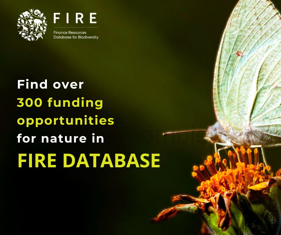 🌍 Struggling to find resources for your environmental projects? 🔥 Meet FIRE: your ultimate solution. 💰 Don't miss out on funding opportunities anymore! With FIRE, finding support for wildlife conservation & sustainable development is just a click away: fire.biofin.org