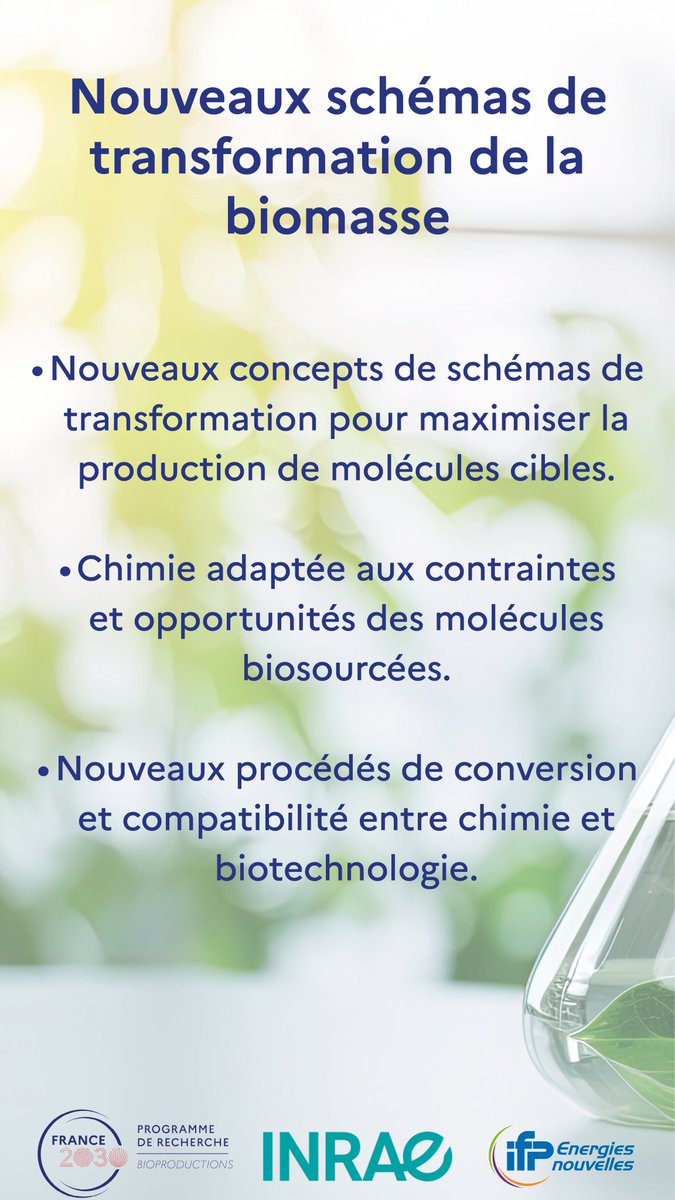 Nouveaux schémas de transformation de la biomasse ?

Les schémas actuels de transformation font face à des verrous technologiques : les faibles rendements en carbone, la mise à l’échelle industrielle ou l’absence de compatibilité entre processus chimiques et biotechnologiques.