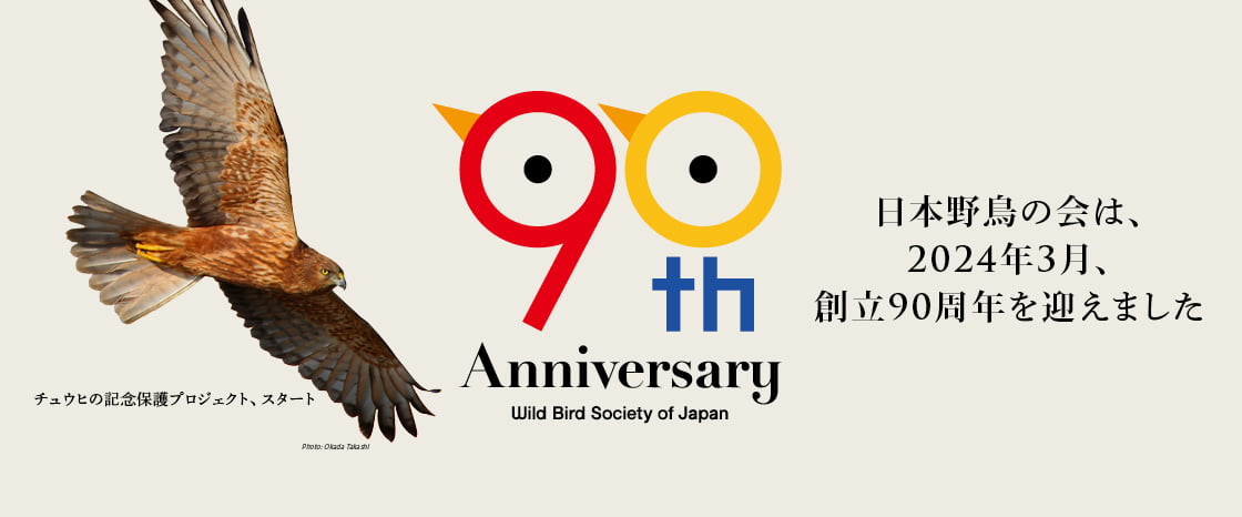 【HP公開のお知らせ】

当会は、2024/3/11に創立90周年を迎えました。
当会の活動を知っていただくため、これまでの歴史を振り返る動画や、周年記念の事業などを紹介するページを公開しました。
今後も追加コンテンツをアップしていく予定です。

創立90周年記念ページ
wbsj.org/about-us/90th/