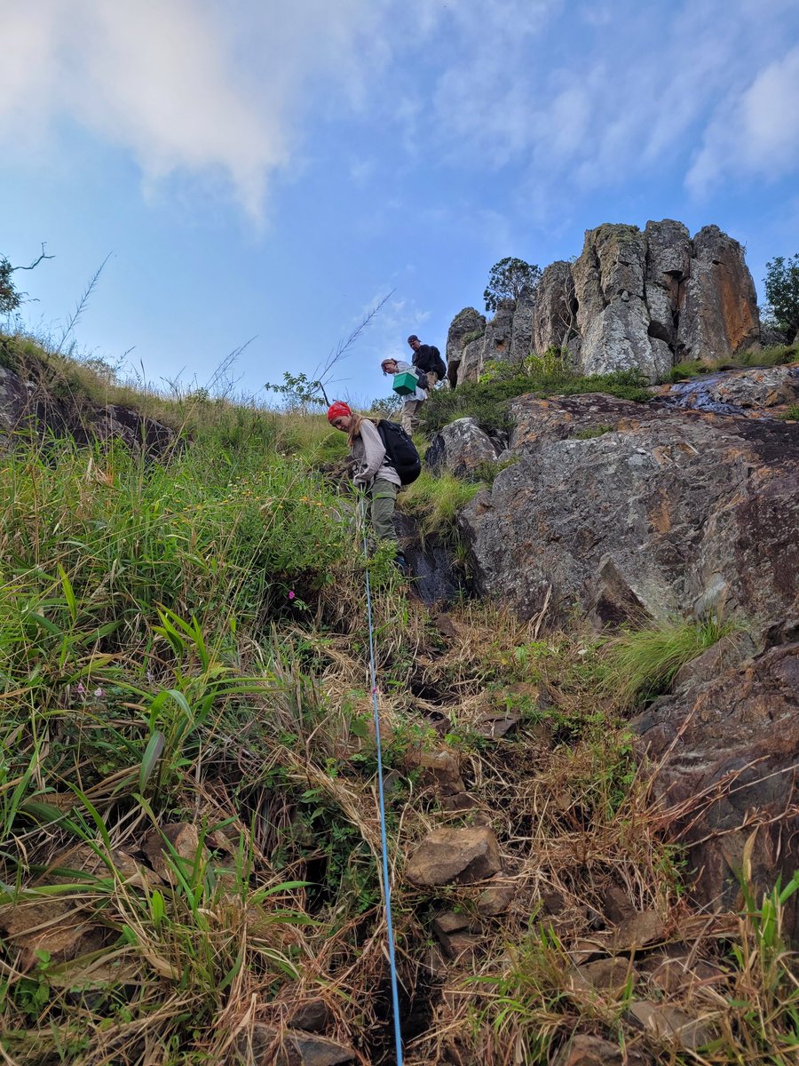 gregorDbader's tweet photo. #MutiMuti rock shelter is maybe the most difficult to access site I've ever worked at...but also the one with the most spectacular view #Eswatini, #IronAge, #LSA. @JorgLinstadter @dai_weltweit @geobiodiversity https://t.co/BQXR7K0Ycf