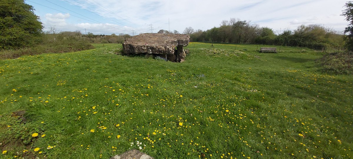 #TombTuesday a flowery looking Tinkinswood