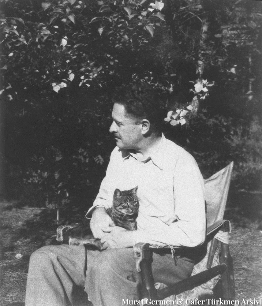 bubisanatcom's tweet photo. "Su serin, çınar ulu, ben şiir yazıyorum, kedi uyukluyor, güneş sıcak, çok şükür yaşıyoruz."  

Nazım Hikmet https://t.co/xhcJjJqfoh