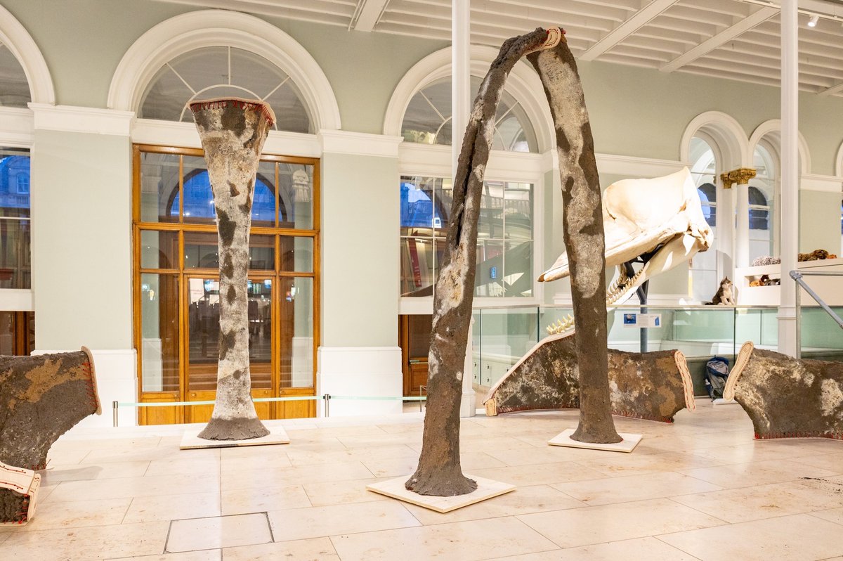 Hub for Biotechnology in the Built Environment tweet media