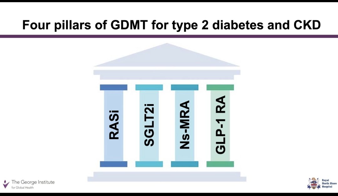 #NephroNuggets 

🤔Condition in #Nephrology with the most revolutionary change in 💉💊 

🌟Diabetic 🫘 disease 🆚⚖️
 IgA Nephropathy🌠

👀👇 🆕 pillars in management of both 

Credit: #ISNWCN and @georgeinstitute 

#MedEd #NephTwitter #Nephpearls #NephX
#MedTwitter #MedX