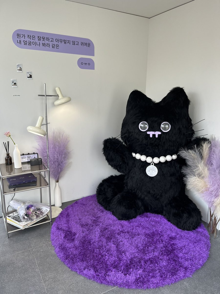4ever_mxmbb's tweet photo. 幸せな場所でした🖤💜🖤 https://t.co/S8Osvqfamp