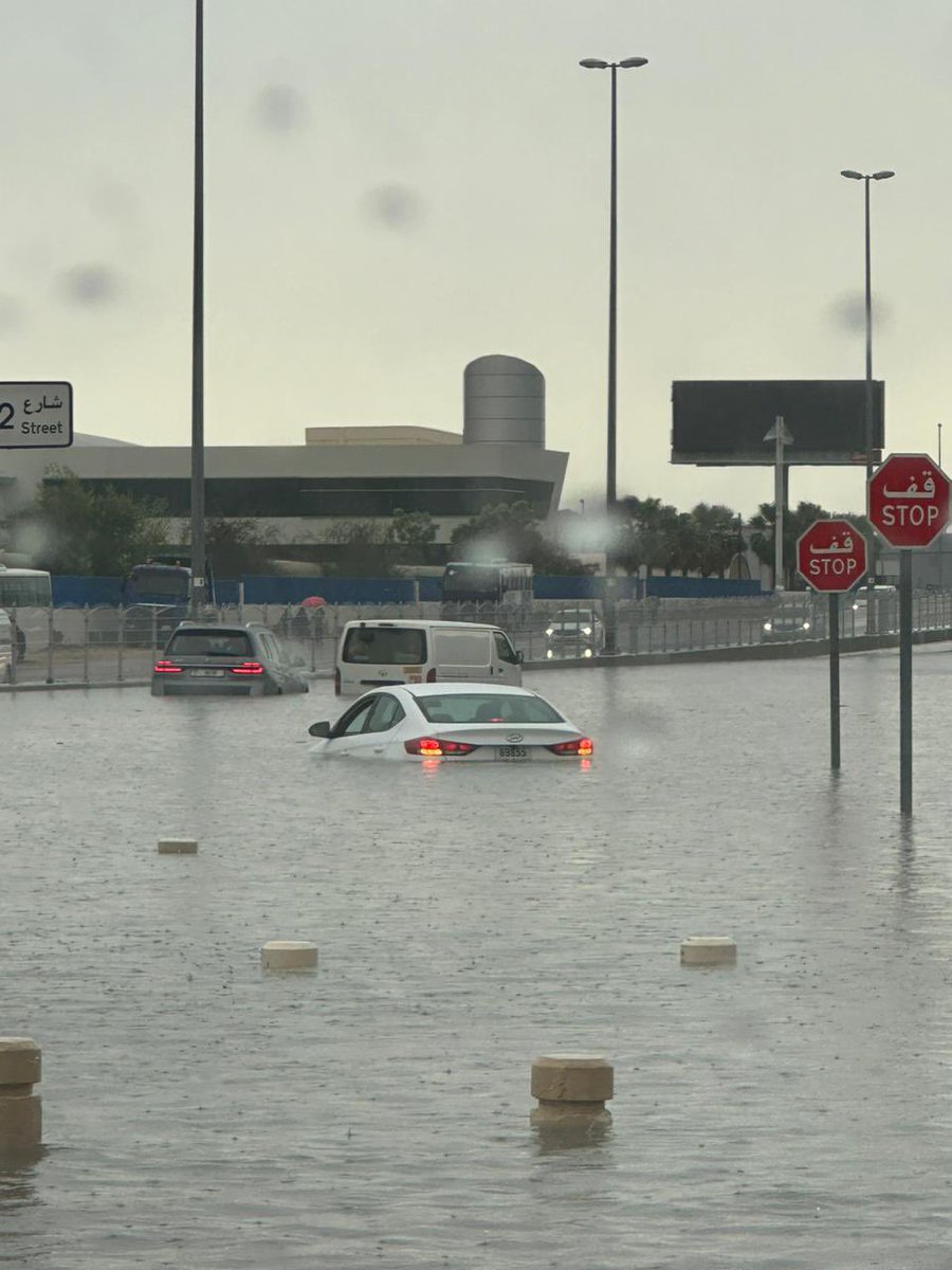 A lot of water in Dubai so whales can finally come )