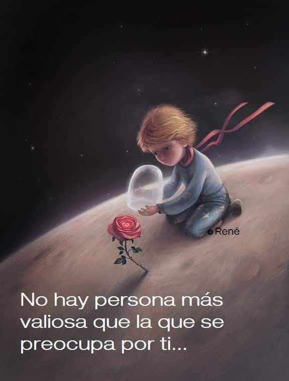 VidaEquilibrada (@vidaequilibrad4) on Twitter photo 