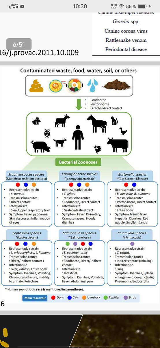 zoonoses