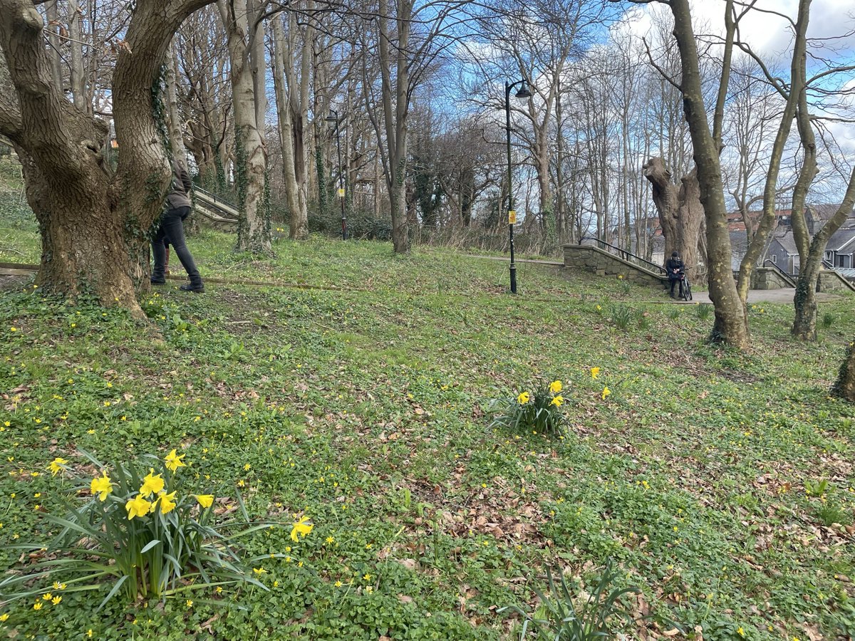 Read all about the workshop led by Sofie Roberts from @BangorUni in February that built on insights gained in the previous @reclaim_network funded project that addressed trees and wildflower meadows in the coastal town of Rhyl in North Wales. reclaim-network.org/blog/bangor