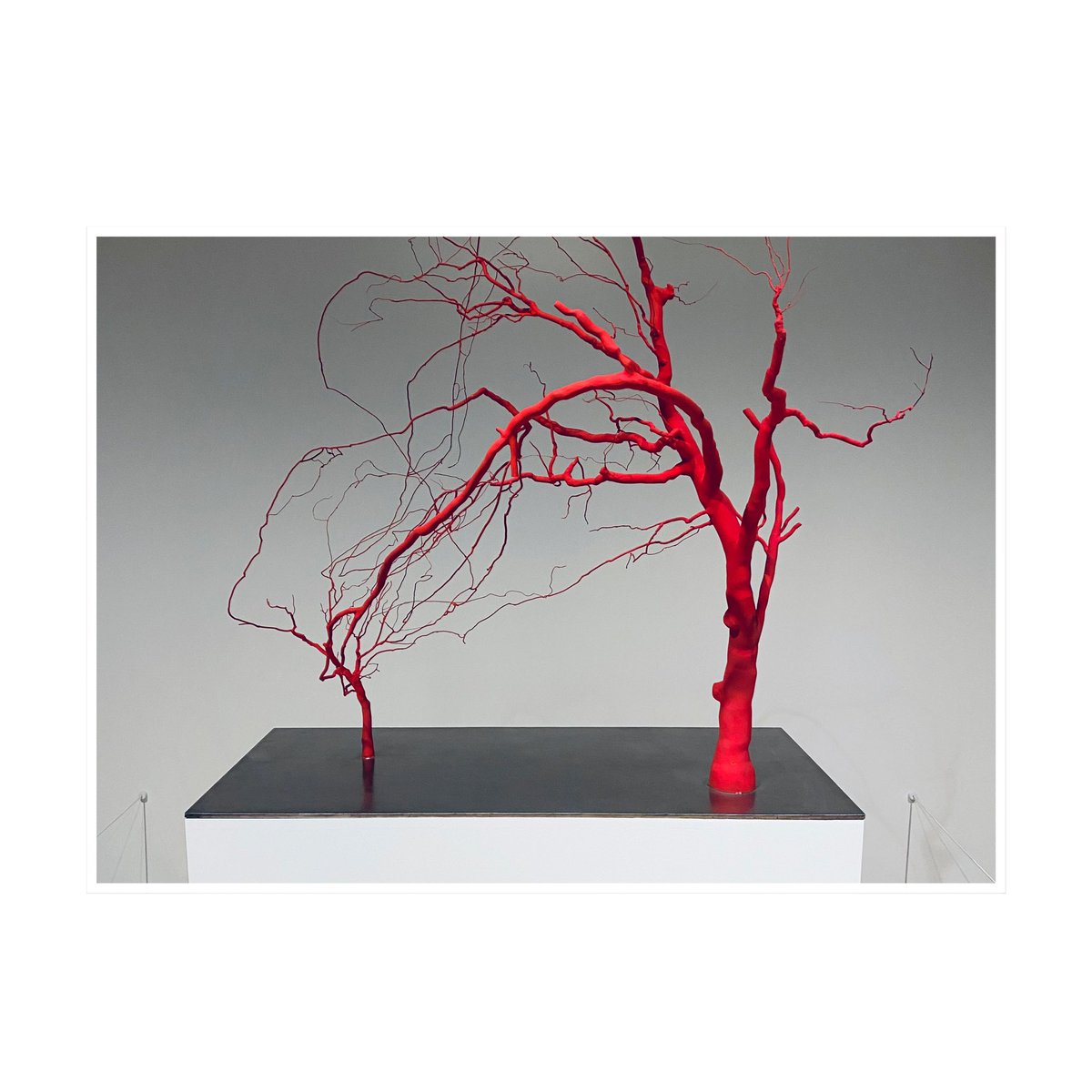 Mr_Max_Licari's tweet image. Among the Trees

In meditative works across different media, they explore how trees – with lifespans much longer than our own – challenge how we think about time, and consider how intimately entangled they are with human affairs. 

#amongthetrees