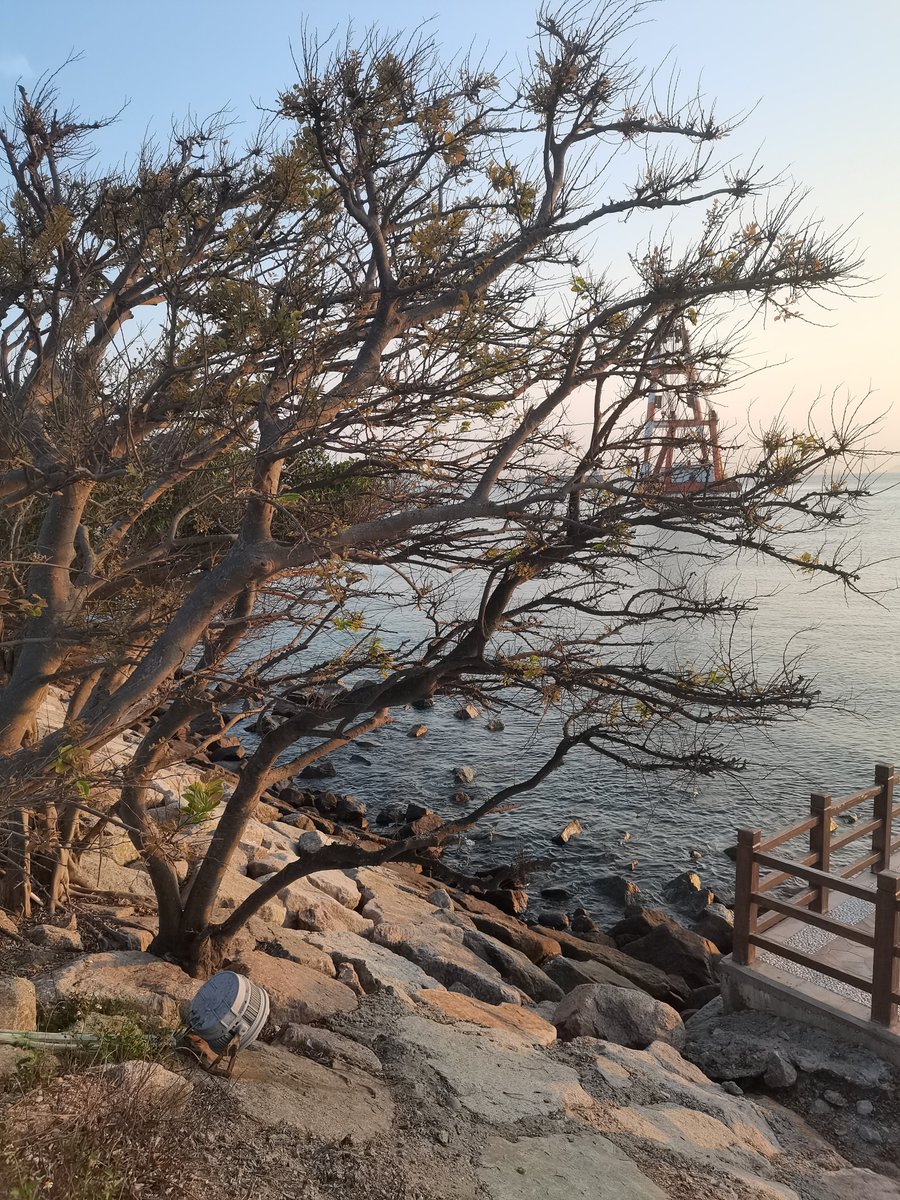 WuuRaina's tweet photo. 如果天气不热的话，对着海面能发一下午呆的程度 https://t.co/GO1zckCfzX
