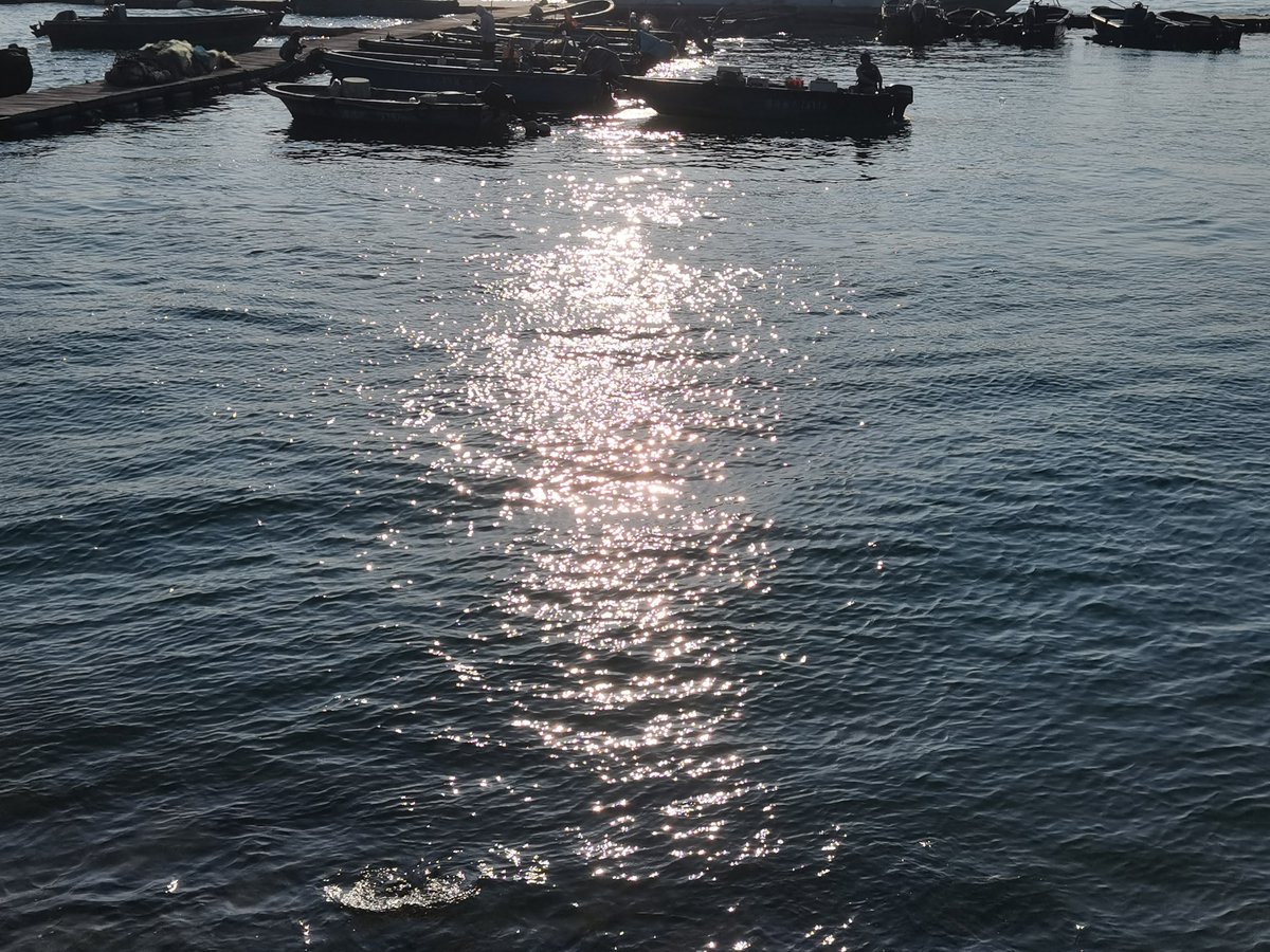 WuuRaina's tweet photo. 如果天气不热的话，对着海面能发一下午呆的程度 https://t.co/GO1zckCfzX