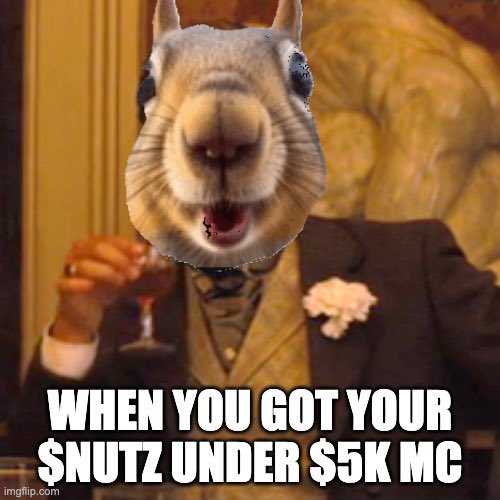 Hey #TheCryptoGems Community ! People are gonna go $NUTZ for this cute little guy! It's literally just a funny, nutty looking squirrel. 🐿️ This gem is sitting below $5k MC right now and is not stopping. Their community has been grinding since launch. 💪 Right now they're