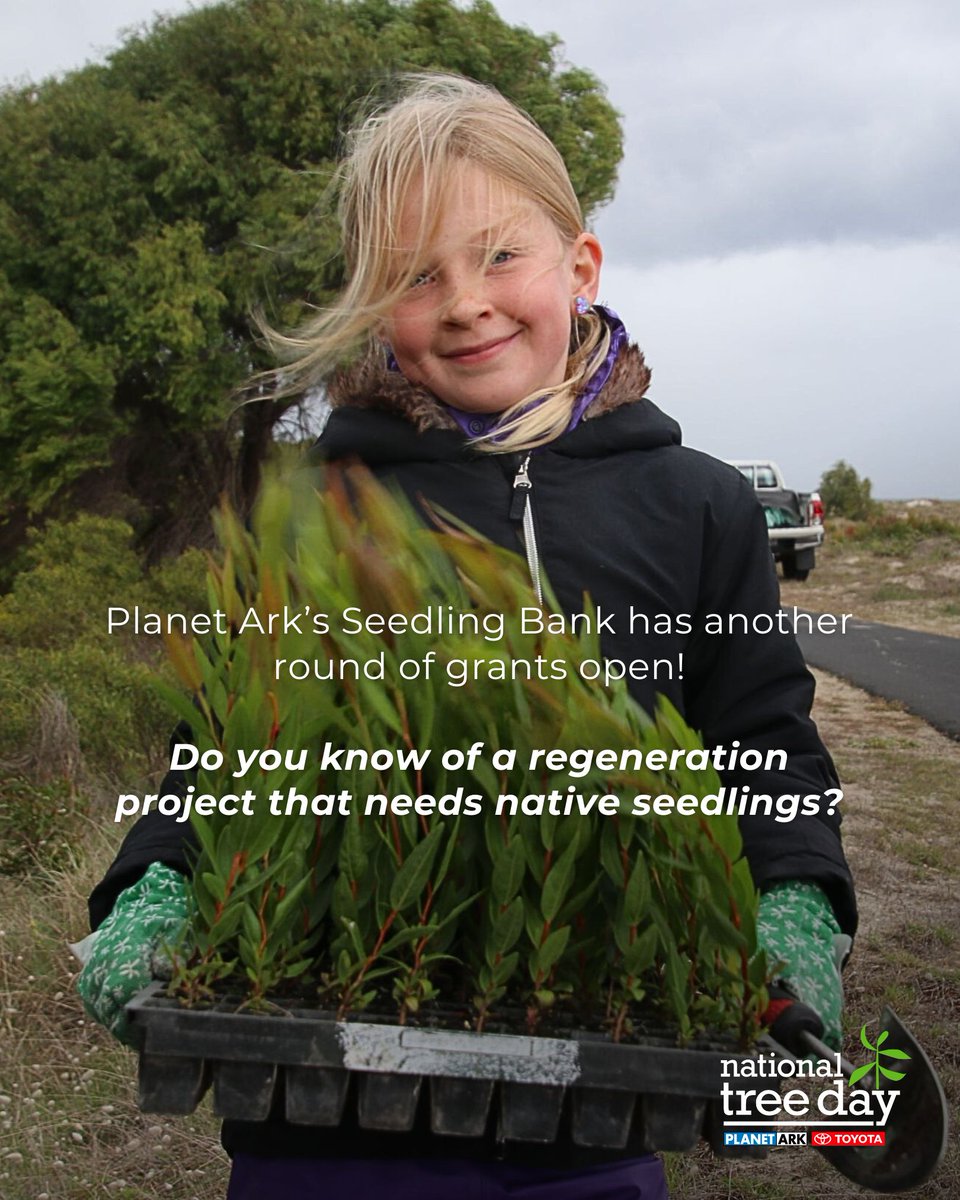 #NationalTreeDay's Seedling Bank has another round of grants open! 🌱 Visit The Seedling Bank: treeday.planetark.org/seedlingbank/ Please give as much detail as possible in your application. Submissions close Wednesday, May 1st. Message us if you have any questions! #regeneration