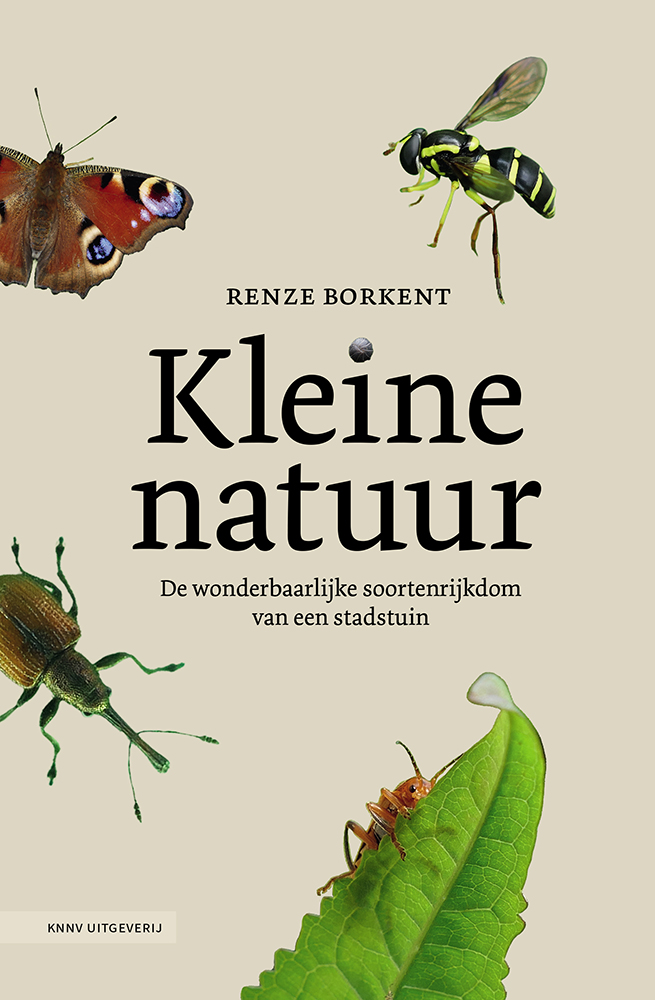 KNNVUitgeverij's tweet photo. #Natuurindetuin โโKleine natuurโ van Renze Borkent is een heerlijk boek voor iedereen die even af-en-toe uit de mensenwereld wil en weer in de natuur zijn.โ- lees de recensie in | https://t.co/eFYZ4Nd5dU #KleineNatuur #natuurlijktuinieren #natuurtuin #tegeltuin https://t.co/jD5jqX4vgr