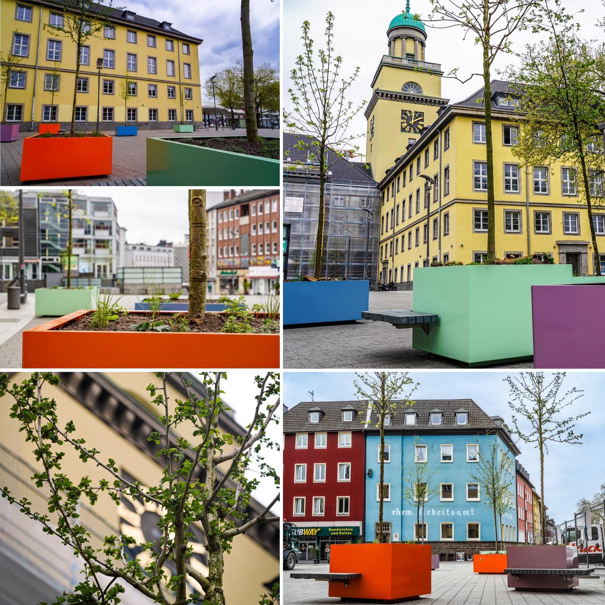 🌳♥️Bäume werden wahr... Während 3 mobile Bäume schon längst ihre festen Wurzeln auf dem Platz vor der Stadtgalerie geschlagen haben, sind nun 13 weitere Bäume an ihrem Ziel angekommen und verschönern fortan unseren Rathausplatz.😊
➡️bit.ly/3Uk1gk3
