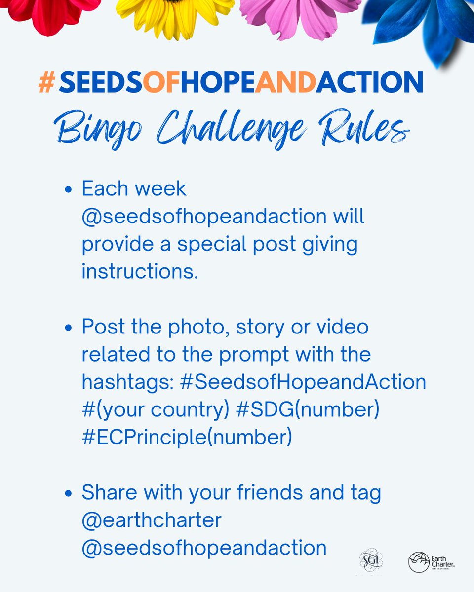 seedsofhopeanda's tweet photo. Welcome to Week1 of the #SeedsofHopeandAction Bingo Challenge! This week's focus is on SDG4: Quality Education.
Please share your action related to quality education or learning opportunities with the hashtags:
#SeedsofHopeandAction #YourCountry #SDG4 #ECPrinciple14 #ECPrinciple4 https://t.co/Vms0Lx8HrX